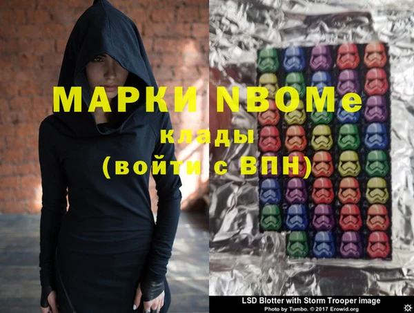 хмурый Гусев