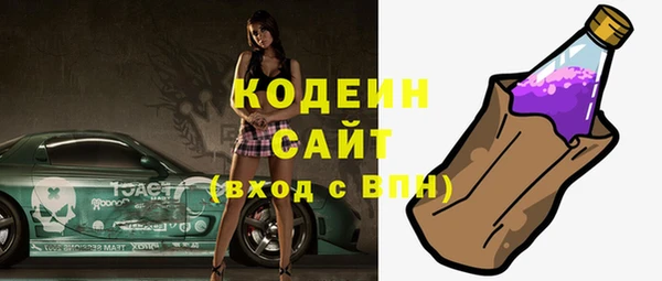 хмурый Гусев