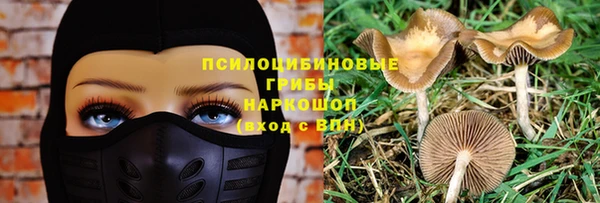 ешки Гусь-Хрустальный