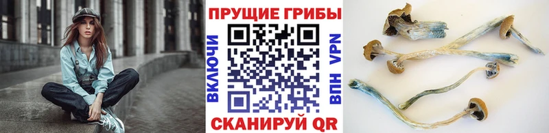 купить наркотик  Черепаново  Галлюциногенные грибы ЛСД 